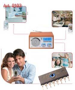 Microspie ambientali umts